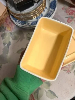 Beurrier jaune