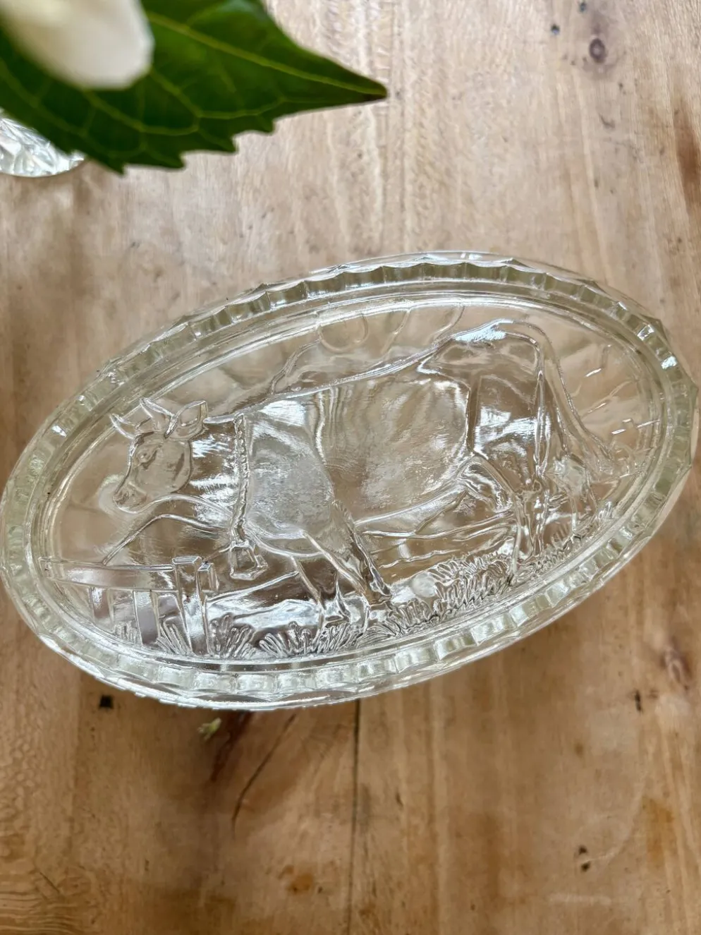 Beurrier vintage en verre à décor de vache
