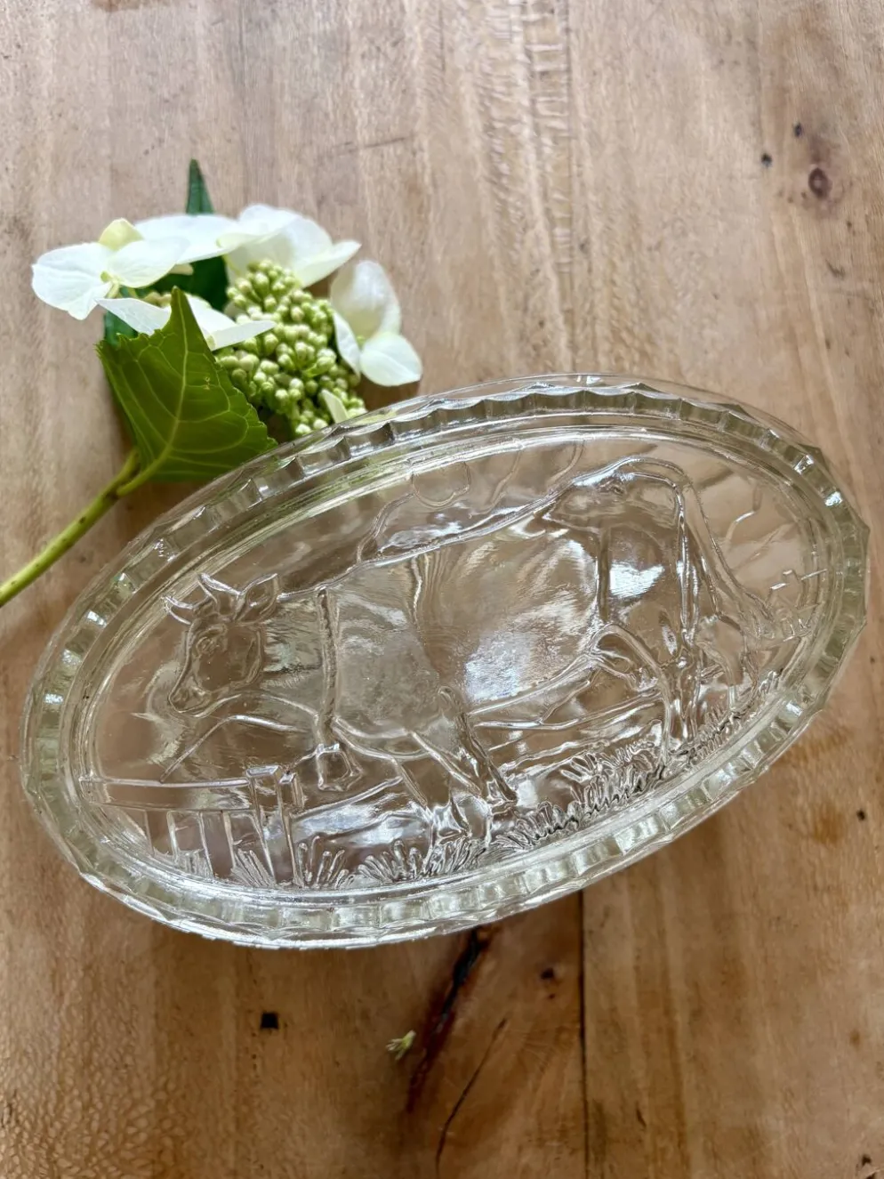 Beurrier vintage en verre à décor de vache