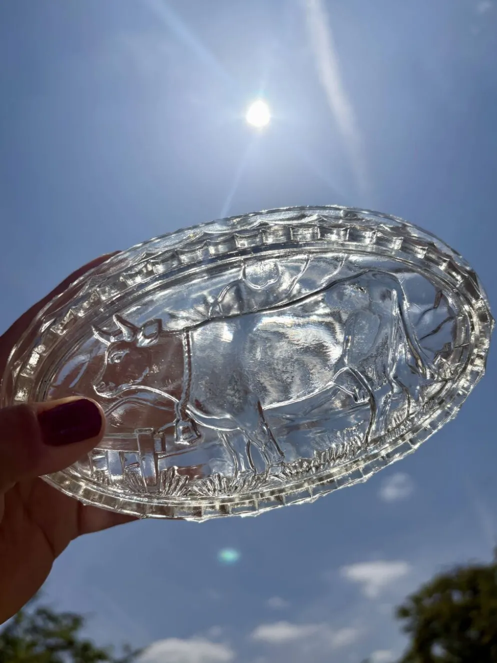 Beurrier vintage en verre à décor de vache