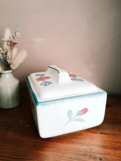 Boite a biscuits en Faïence de Salins