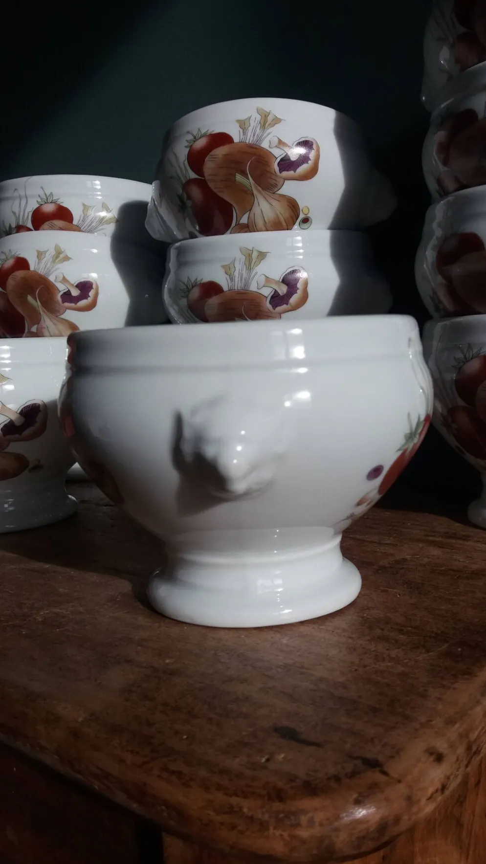 Bols à soupe en porcelaine Pyrolux Lourioux