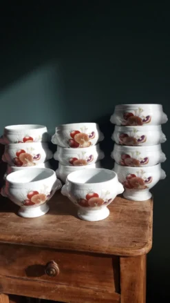 Bols à soupe en porcelaine Pyrolux Lourioux