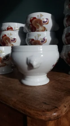 Bols à soupe en porcelaine Pyrolux Lourioux