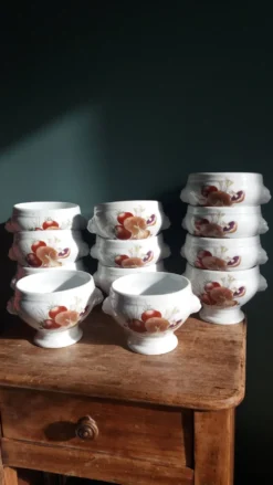 Bols à soupe en porcelaine Pyrolux Lourioux