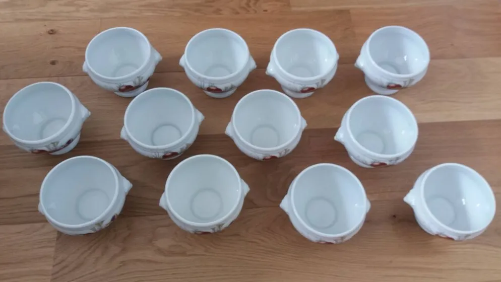 Bols à soupe en porcelaine Pyrolux Lourioux