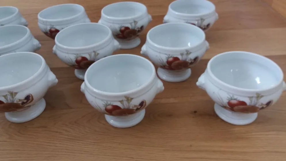 Bols à soupe en porcelaine Pyrolux Lourioux