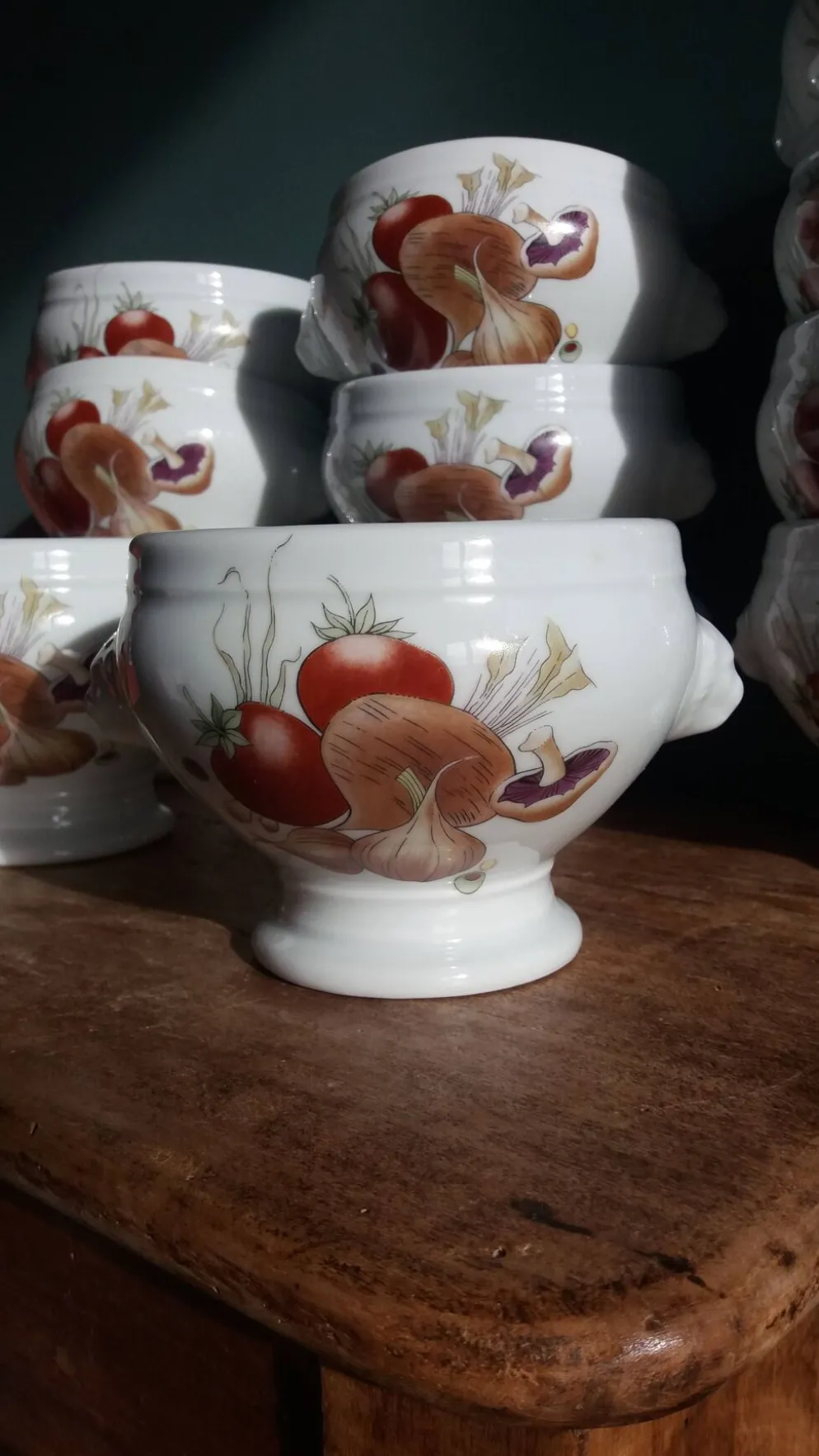 Bols à soupe en porcelaine Pyrolux Lourioux