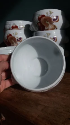 Bols à soupe en porcelaine Pyrolux Lourioux