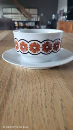 Bol vintage monobloc