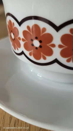Bol vintage monobloc