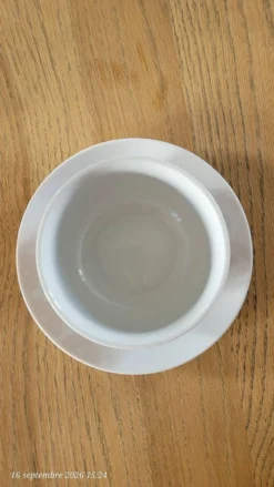 Bol vintage monobloc