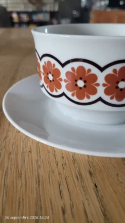 Bol vintage monobloc