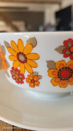 Bol vintage monobloc