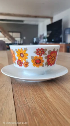 Bol vintage monobloc