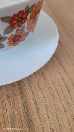 Bol vintage monobloc