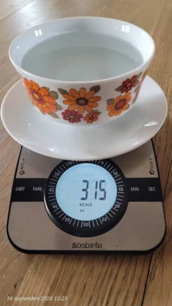 Bol vintage monobloc
