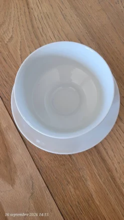 Bol vintage monobloc