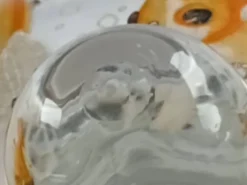 Bonbonnière en verre bohémien antique des années 1930, soufflée à la main et peinte, Art Déco