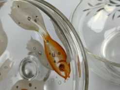 Bonbonnière en verre bohémien antique des années 1930, soufflée à la main et peinte, Art Déco