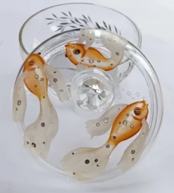 Bonbonnière en verre bohémien antique des années 1930, soufflée à la main et peinte, Art Déco