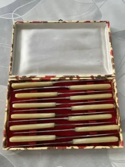 Boîte de 12 couteaux vintage inox et résine