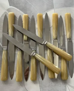 Boîte de 12 couteaux vintage inox et résine