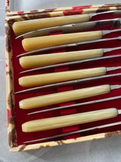 Boîte de 12 couteaux vintage inox et résine