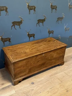 Boîte en orme du XVIIIe siècle