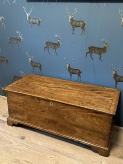 Boîte en orme du XVIIIe siècle
