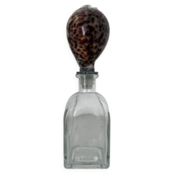 Bouteille avec bouchon coquillage
