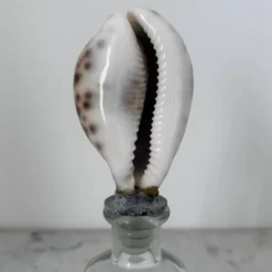 Bouteille avec bouchon coquillage