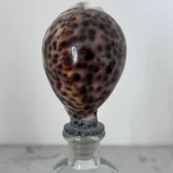 Bouteille avec bouchon coquillage