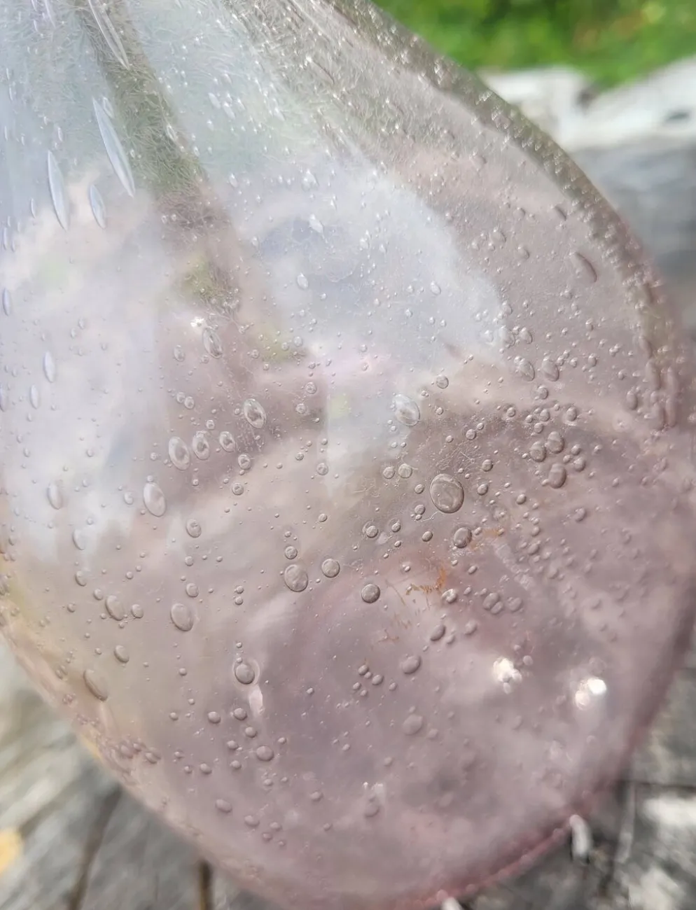 Bouteille en verre soufflé bullé, style verrerie Biot.