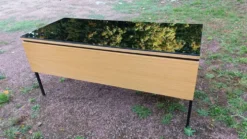Bureau Pierre Guariche