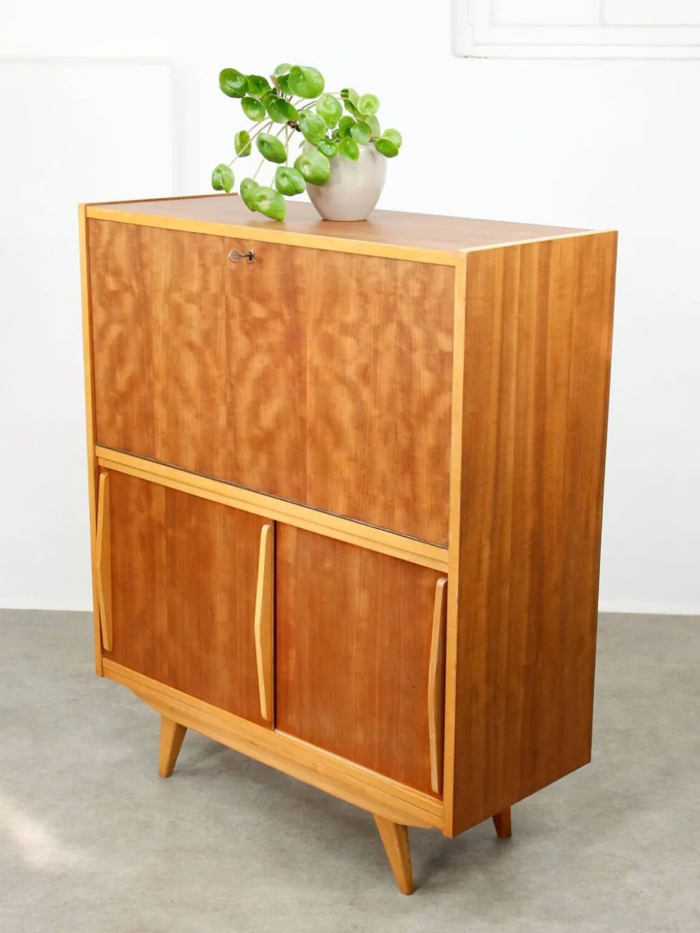 Cabinet de bar en bois scandinave moderne du milieu du siècle, années 1950