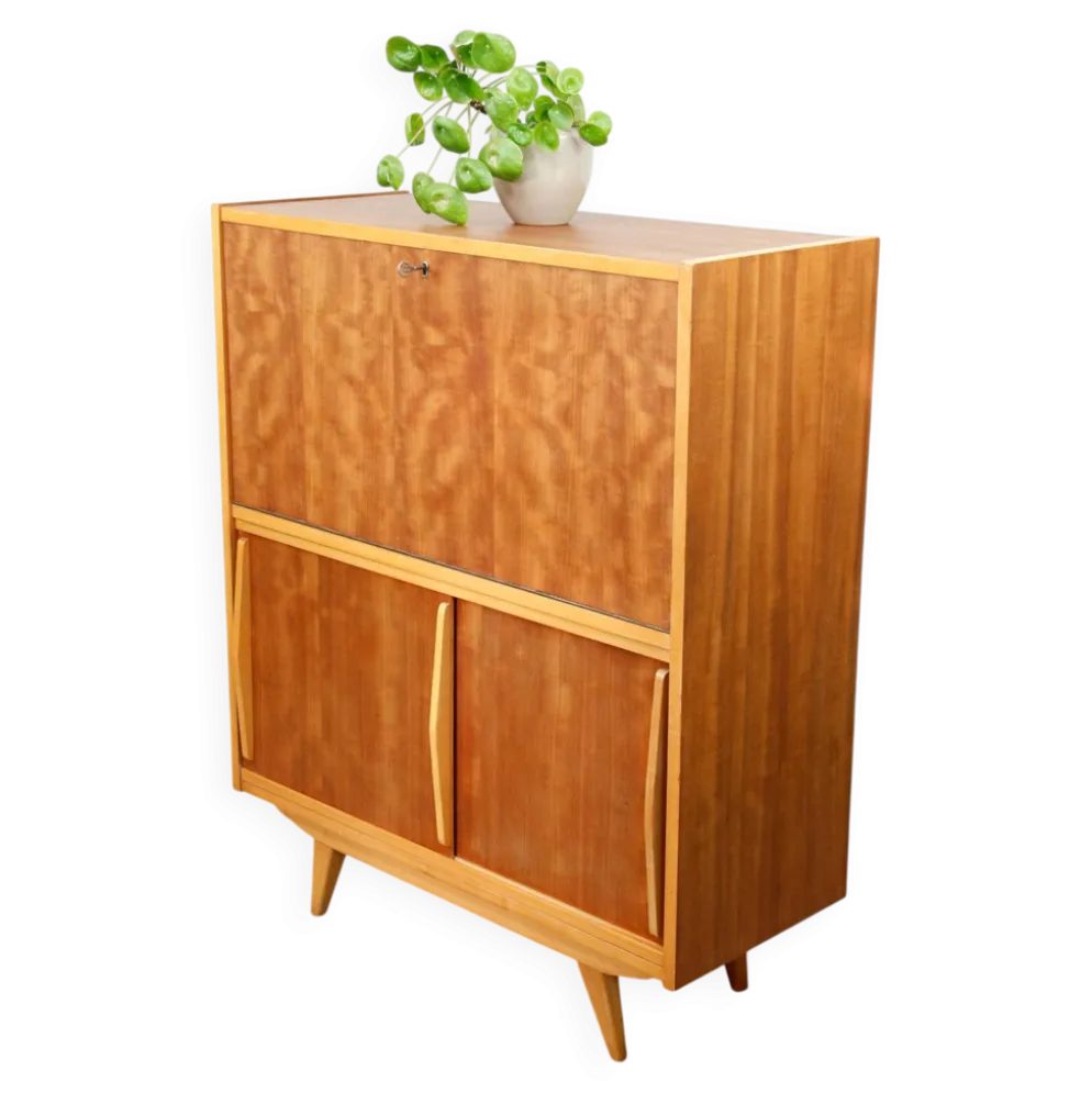 Cabinet de bar en bois scandinave moderne du milieu du siècle, années 1950
