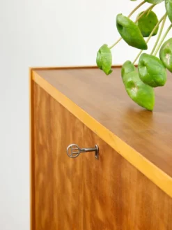 Cabinet de bar en bois scandinave moderne du milieu du siècle, années 1950