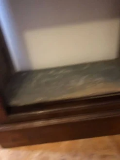 Cabinet de marine