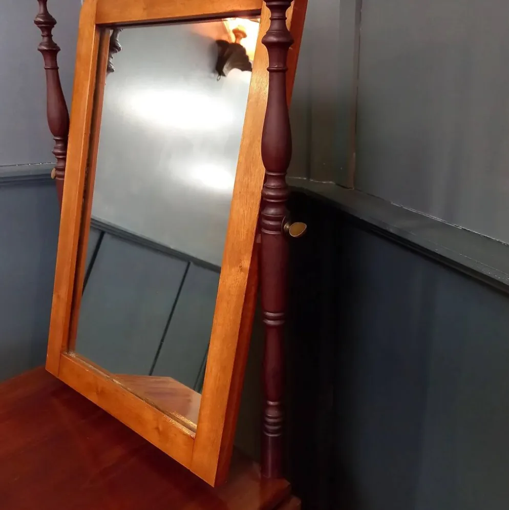 Cabinet de salle de bain/rasage ancien