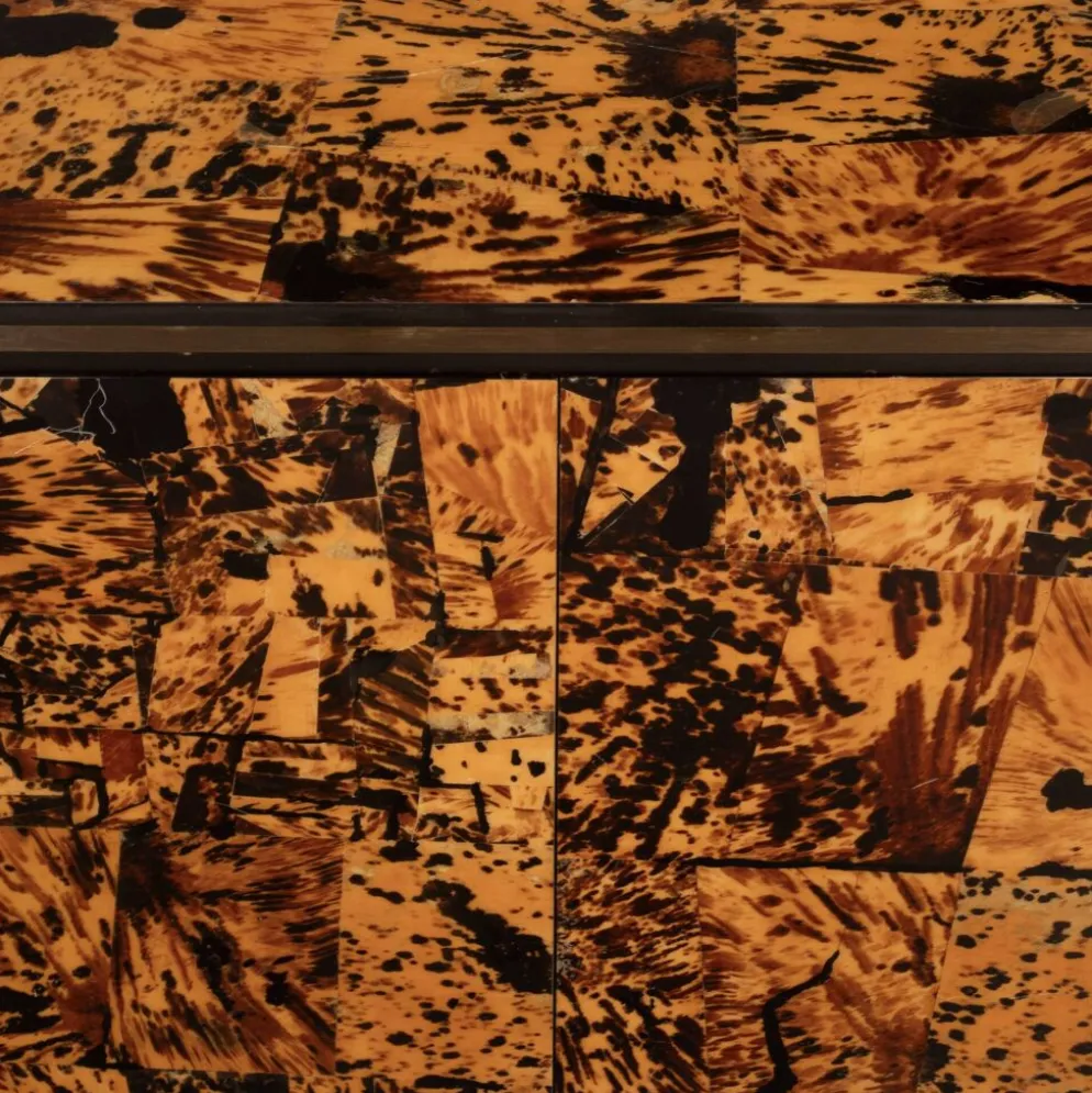 Cabinet en écaille de tortue unique par Roberto Jodice pour Ottini Milano 1974
