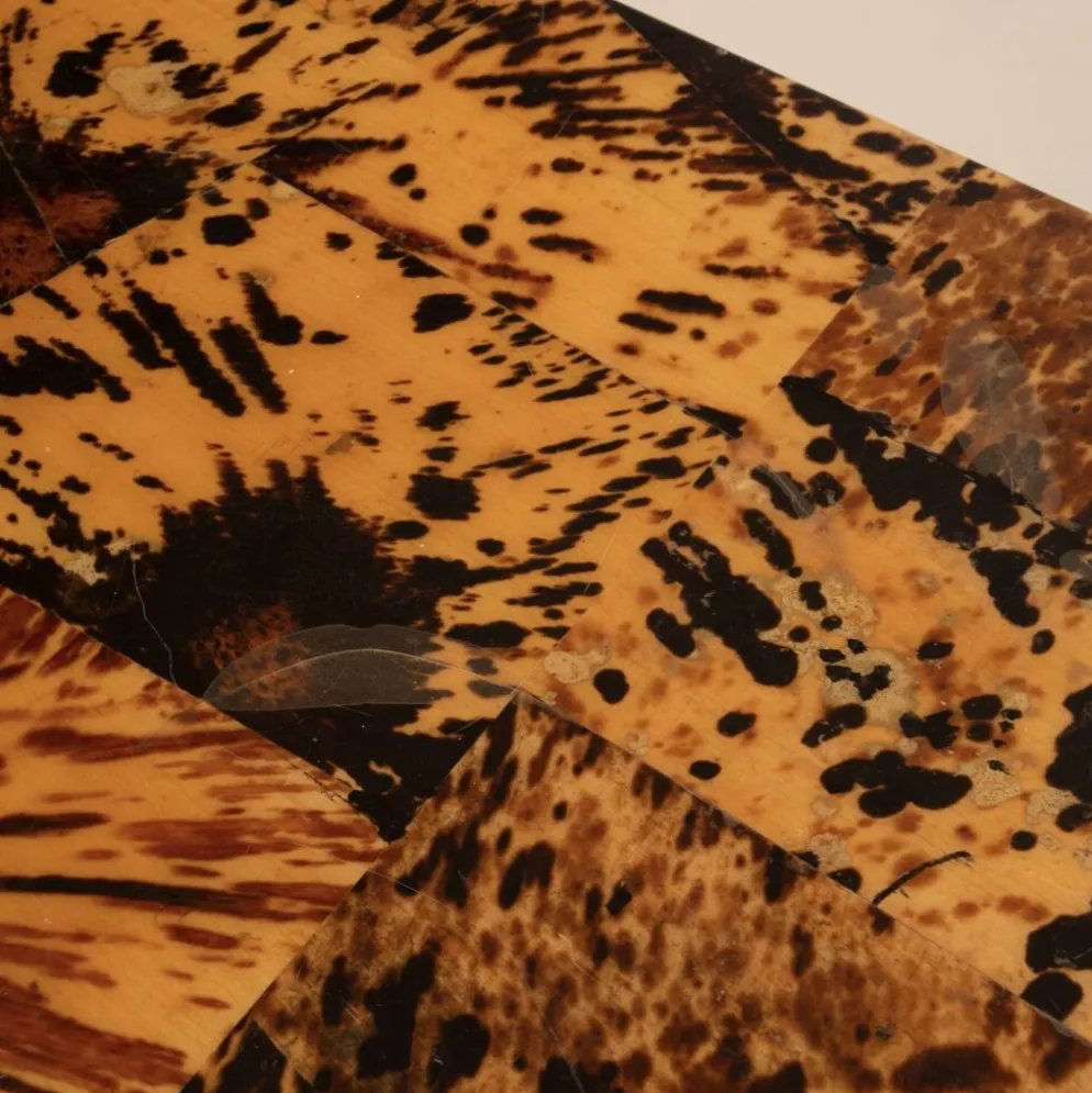 Cabinet en écaille de tortue unique par Roberto Jodice pour Ottini Milano 1974