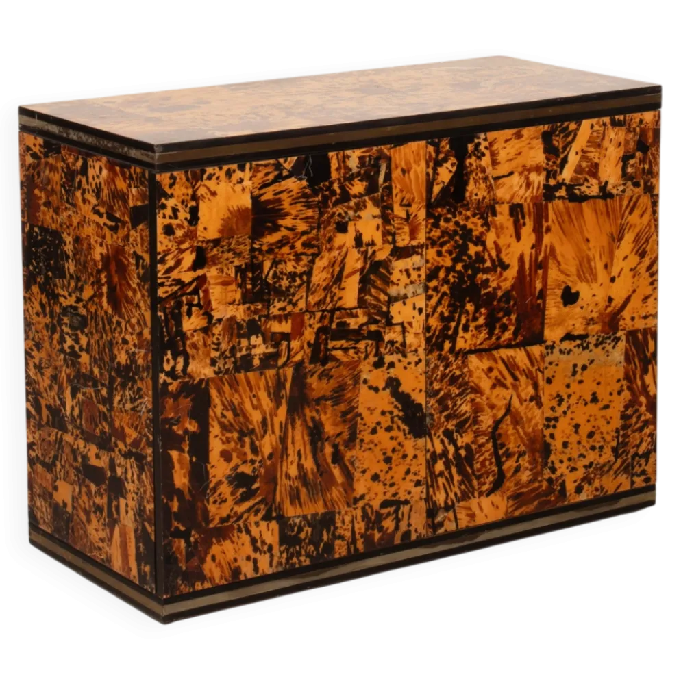 Cabinet en écaille de tortue unique par Roberto Jodice pour Ottini Milano 1974