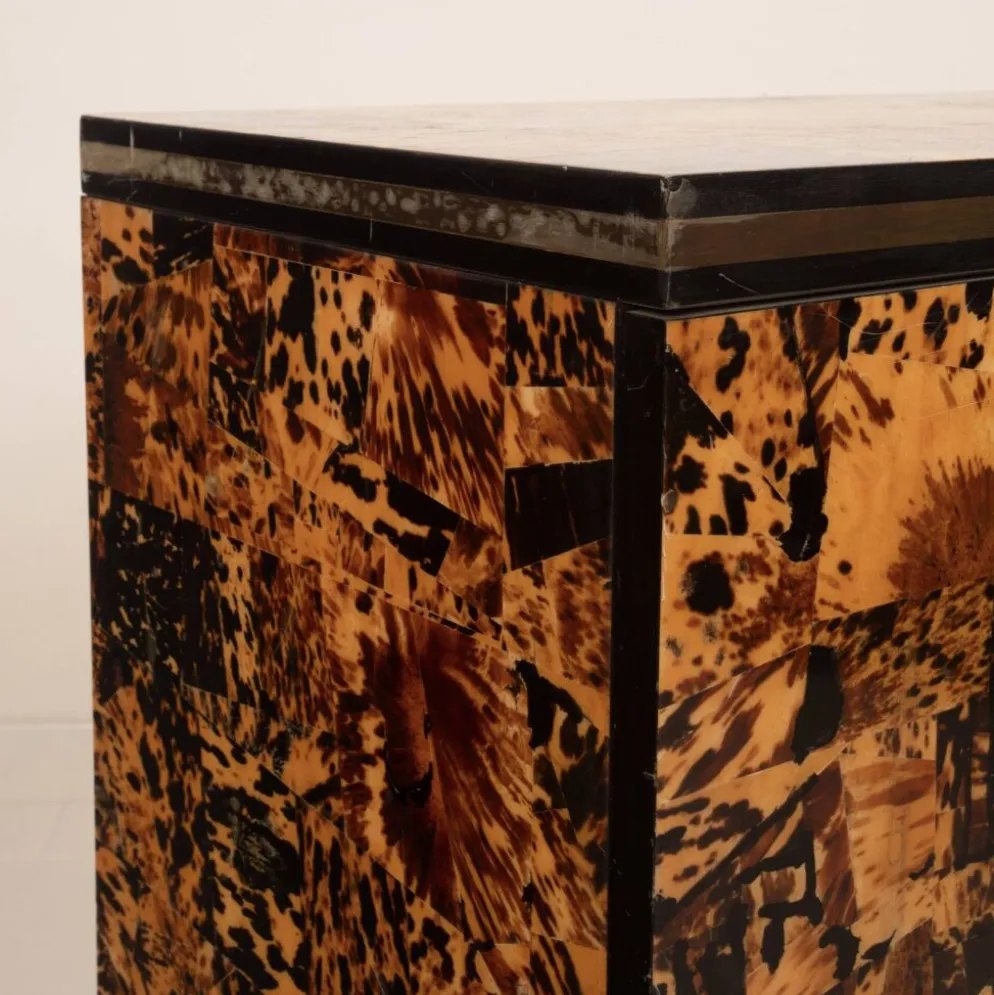 Cabinet en écaille de tortue unique par Roberto Jodice pour Ottini Milano 1974