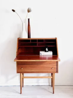 Cabinet secrétaire vintage des années 1960