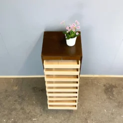 Cabinet à volets roulants, chêne foncé, années 1950