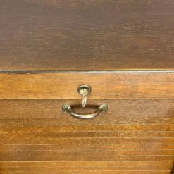 Cabinet à volets roulants, chêne foncé, années 1950