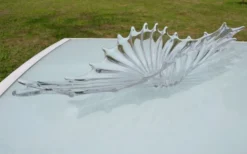 Centre de table, coupe en cristal