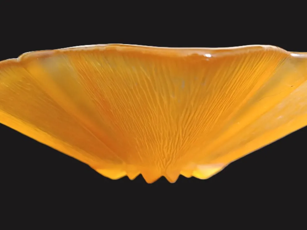 Centre de table en verre Walther Glass en forme d'étoile