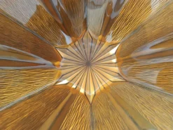 Centre de table en verre Walther Glass en forme d'étoile